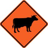 Temporary Hazard sign for Cattle 